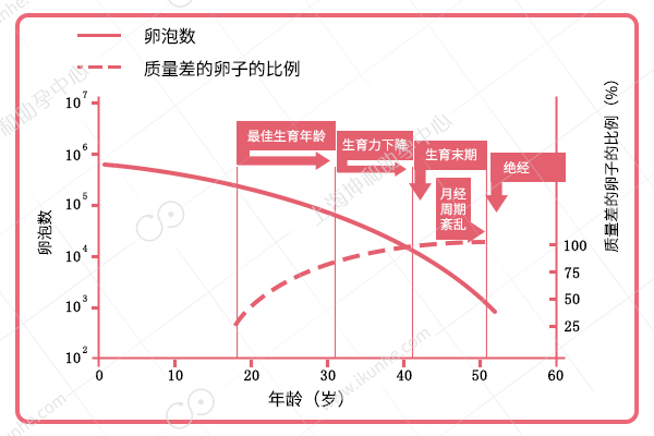 阚清子“被迫”冻卵引争议，单身女性的一线“生”机真的靠谱吗？